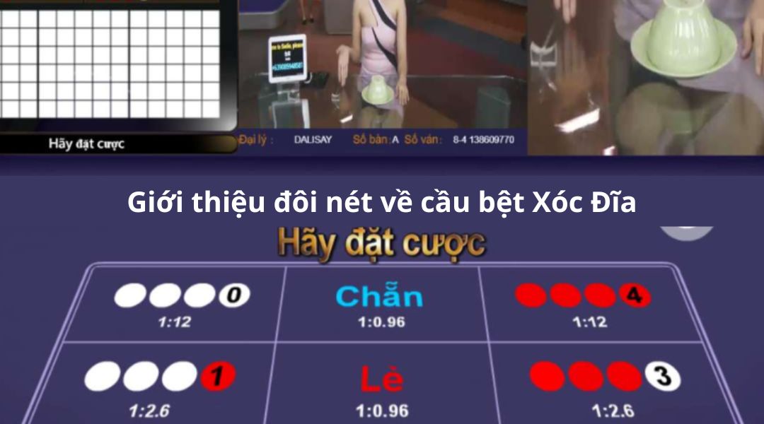 Giới thiệu đôi nét về cầu bệt Xóc Đĩa